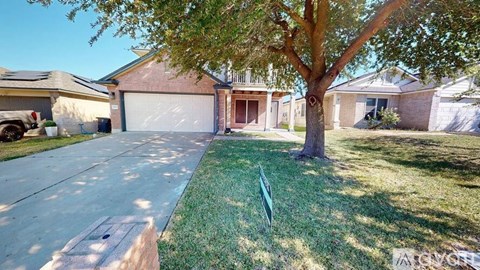 A tree stands in the middle of a grassy area in front of a house.
