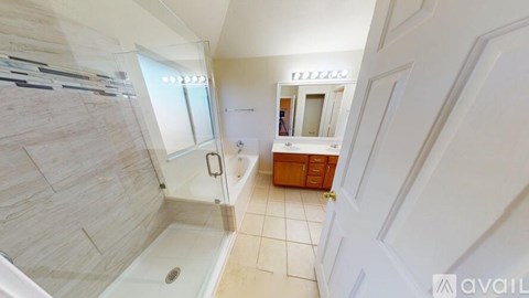 A bathroom with a walk-in shower and a bathtub.