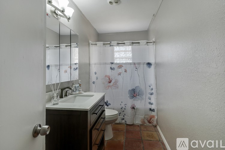 A bathroom with a sink, mirror, and shower curtain.
