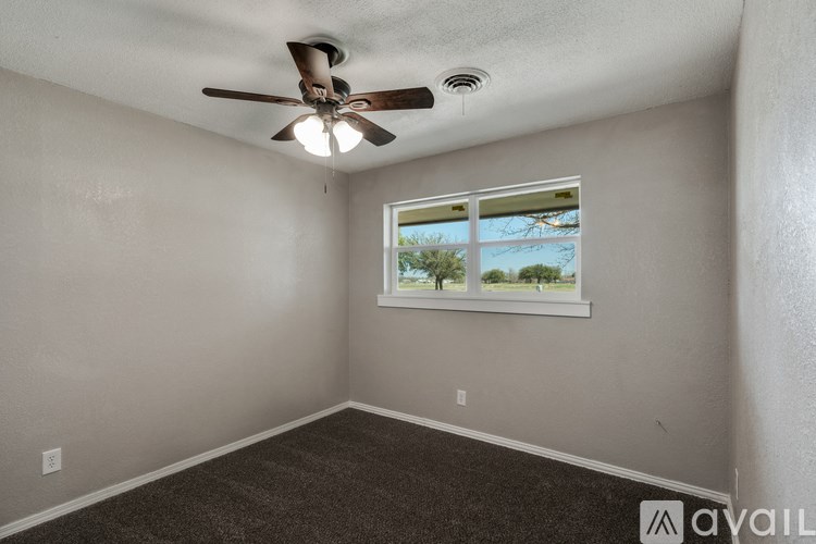 A room with a ceiling fan and a window showing a tree outside.