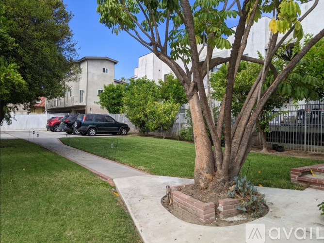 A tree in a planter is the main focus of the image.