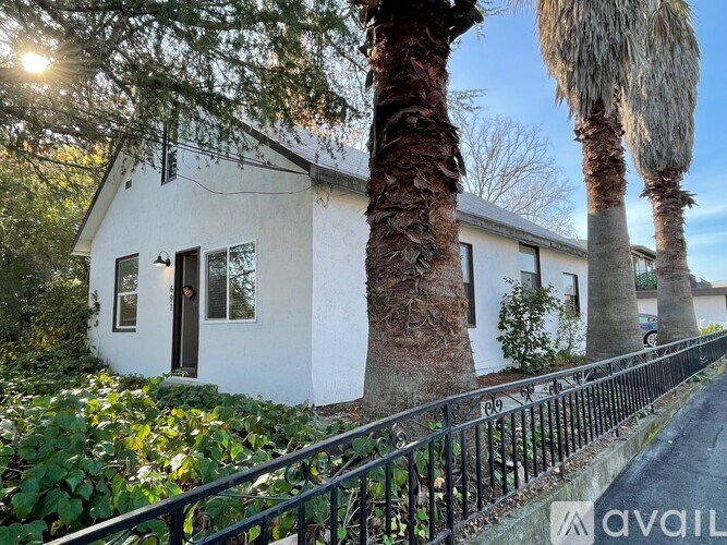 A white house with a black fence and a palm tree in front.