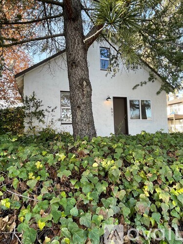 A white house with a tree in front of it.