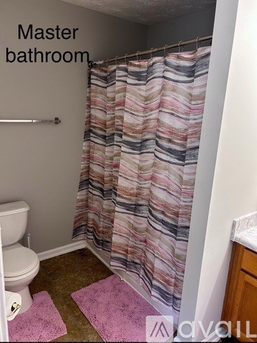 A bathroom with a shower curtain and a toilet.