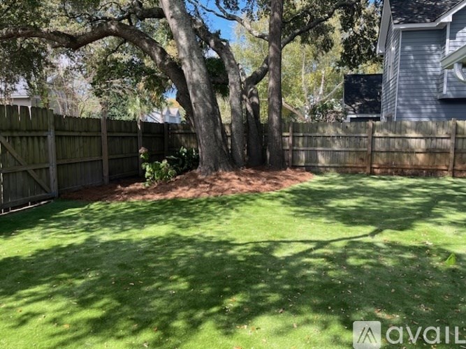 A backyard with a fence and a tree.