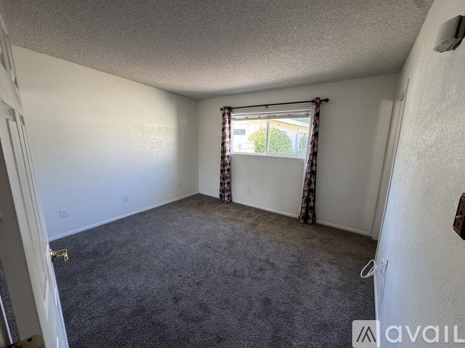 A room with a carpeted floor and a window with curtains.