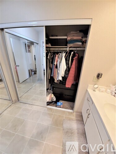 A bathroom with a walk-in closet and a sink.