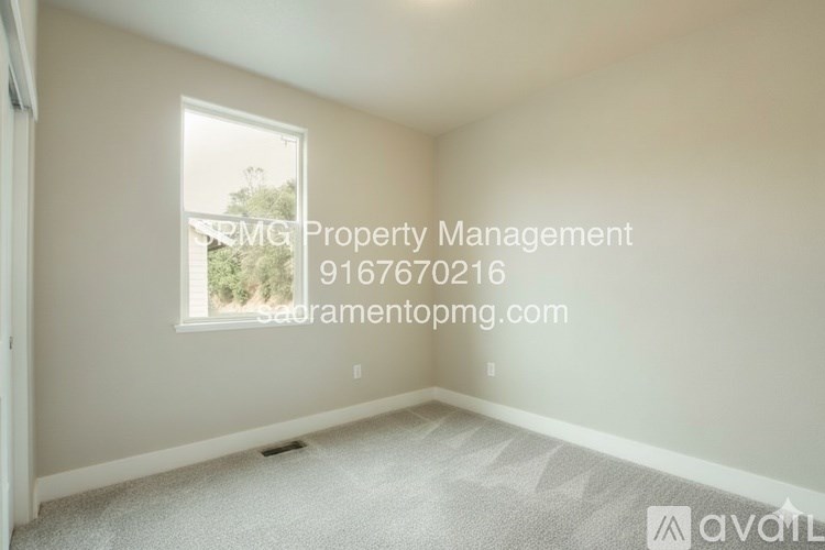 A room with a window and a carpeted floor.