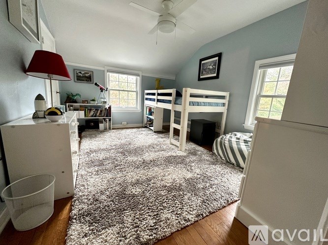 A room with a rug, a bunk bed, and a desk.