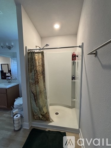 A bathroom with a shower curtain and a toilet paper roll.