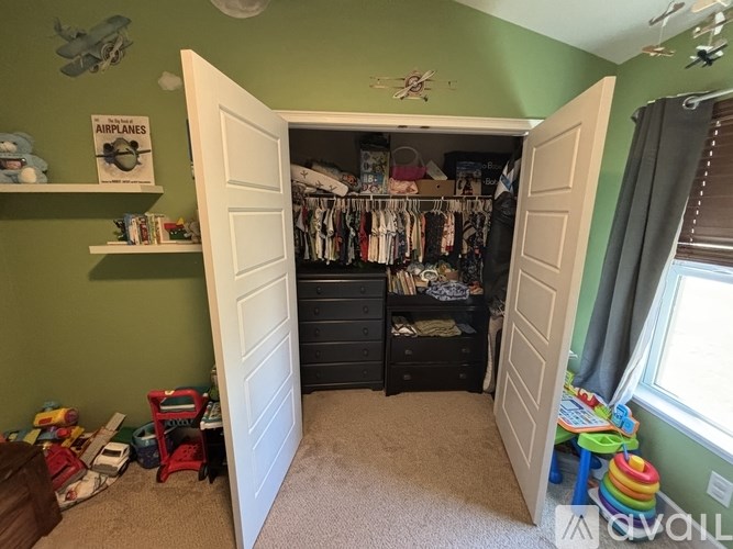 A room with a green wall and a white door that is open to a closet.