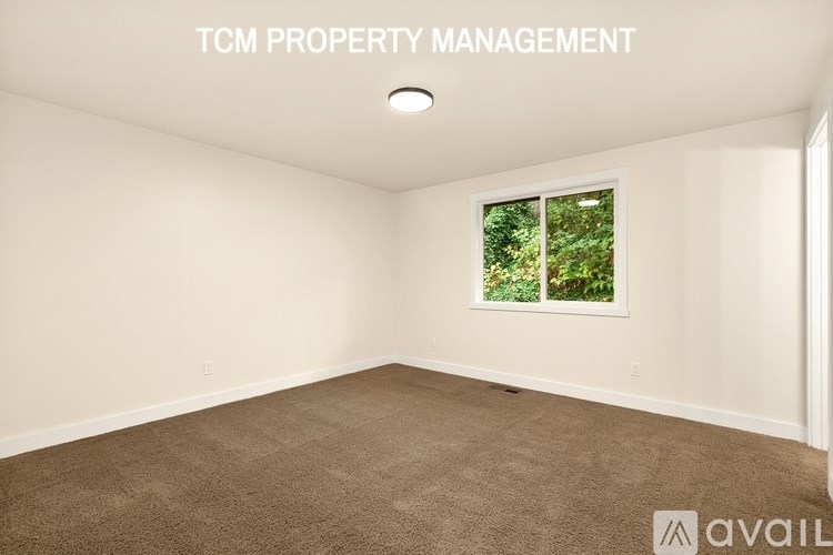 A room with a window showing greenery outside and a carpet on the floor.