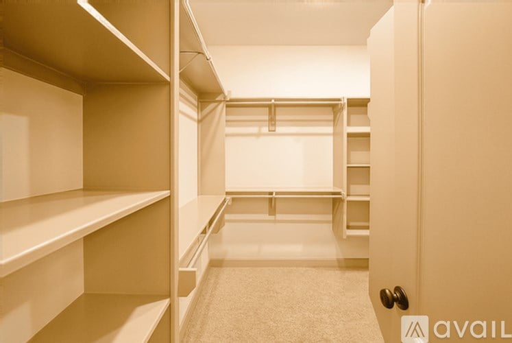 A white pantry with a white door and white shelves.