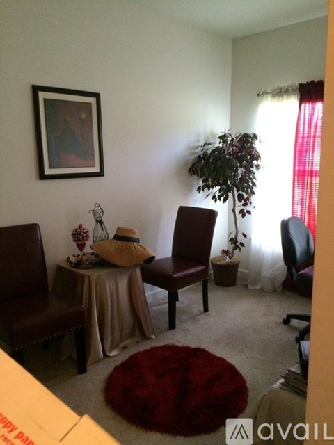 A living room with a red rug and a potted plant.