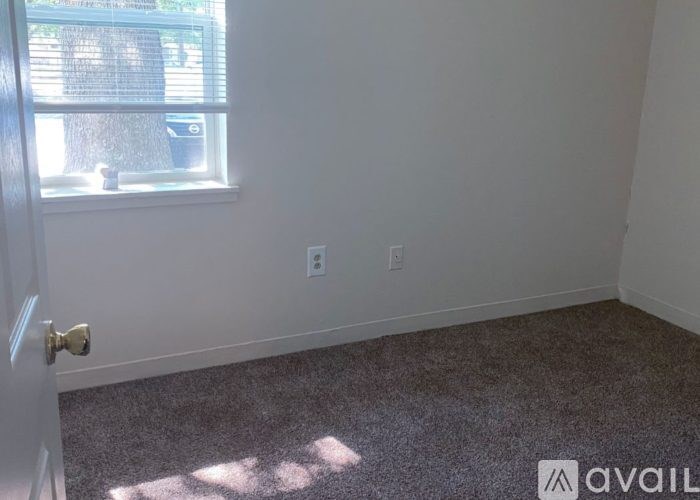 A room with a carpeted floor and a window letting in sunlight.