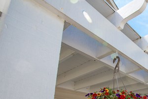 Pet Friendly Apartments For Rent Wilmington Nc Pet Friendly Apartments For Rent Wilmington Nc
