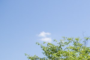 Heather Ridge Apartments, 8800 Meadow Vista Road, Charlotte, NC - RENTCafé