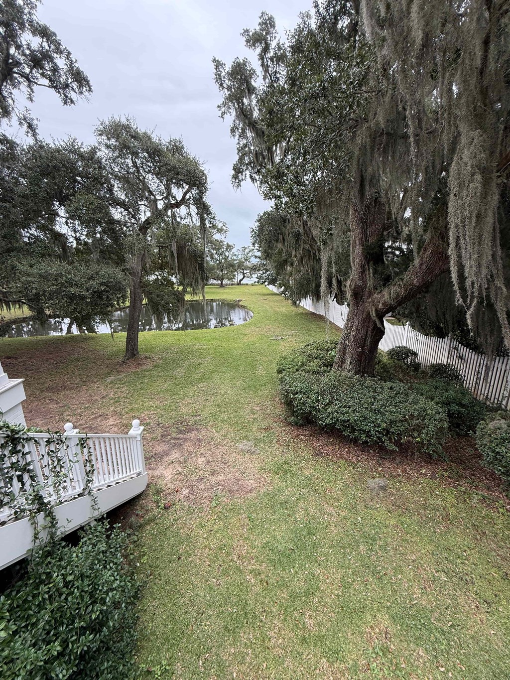 A white fence runs along the edge of a grassy area.