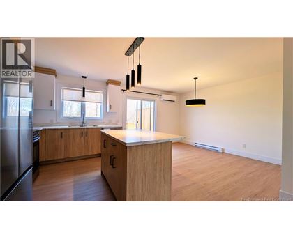 A kitchen with wooden cabinets and a countertop is shown.