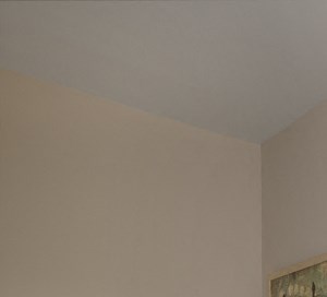 2555 Oak Valley Drive 1-2 Beds Apartment for Rent - Photo Gallery 4