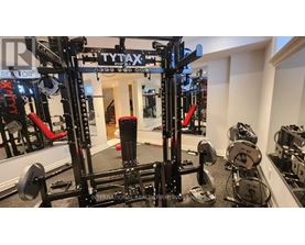 A gym with a Tytan X squat rack and weights.