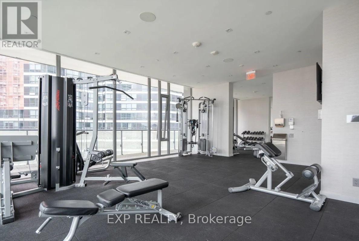 A gym with a variety of equipment including a squat rack, bench, and weights.