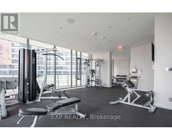 A gym with a variety of equipment including a squat rack, bench, and weights.