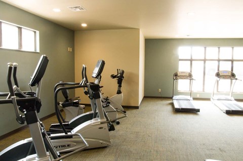 A gym with treadmills, elliptical machines, and a weight machine.