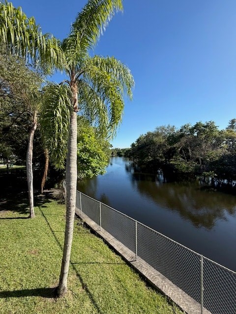 A palm tree stands next to a fence overlooking a body of water.