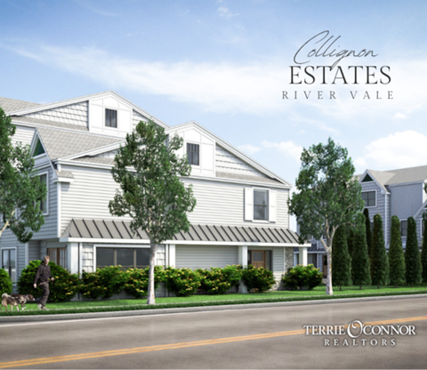 A real estate advertisement for Colignon Estates River Vale by Terrie O'Connor Realtors.