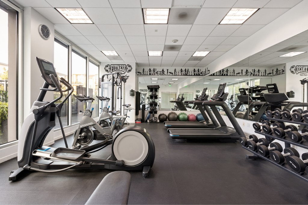 A gym with a row of treadmills and elliptical machines.