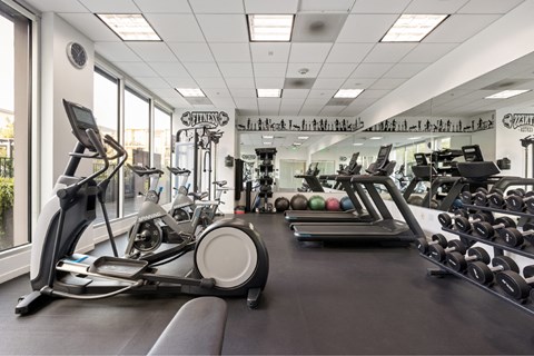 Gym at The View, California, 90005