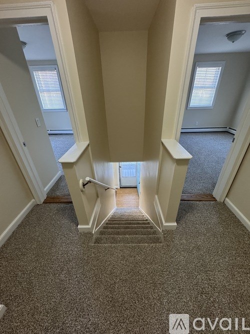 A carpeted stairway with a white railing and a door at the bottom.