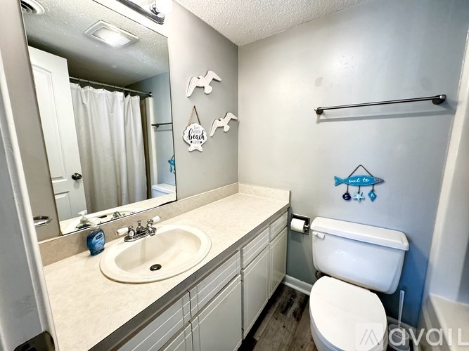 Source URL: https://prod-avail.s3.amazonaws.com/public_images/41500145/listing/IMG_3150.jpeg