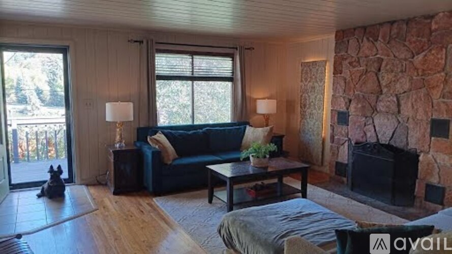 Source URL: https://prod-avail.s3.amazonaws.com/public_images/39956281/listing/livingroomdog.jpeg