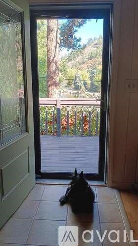 Source URL: https://prod-avail.s3.amazonaws.com/public_images/39956238/listing/dogatdoor.jpeg