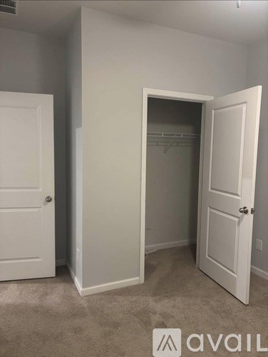 A white door is open to a small closet.