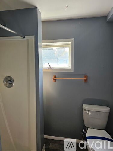 A bathroom with a toilet and a window.