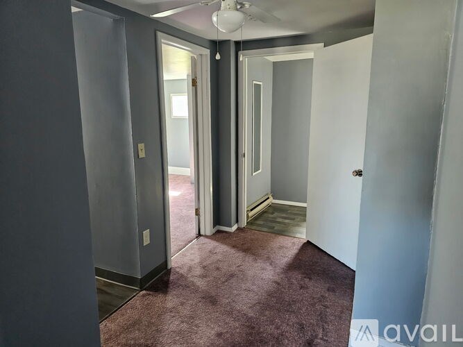 A room with a carpeted floor and a ceiling fan.
