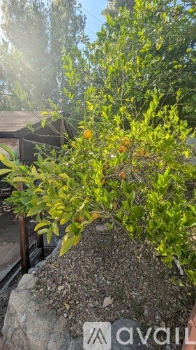 Source URL: https://prod-avail.s3.amazonaws.com/public_images/41506310/listing/PXL_20251021_213142182-min.jpg