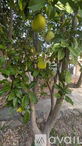 Source URL: https://prod-avail.s3.amazonaws.com/public_images/41506311/listing/PXL_20251021_213148806-min.jpg