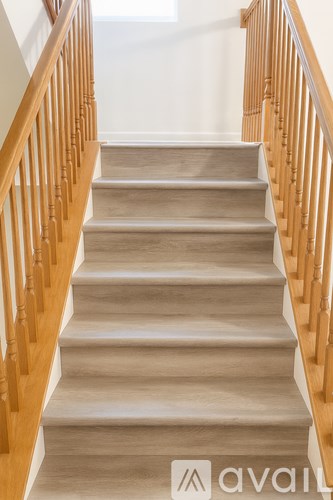 A wooden staircase with a beige carpeted runner.