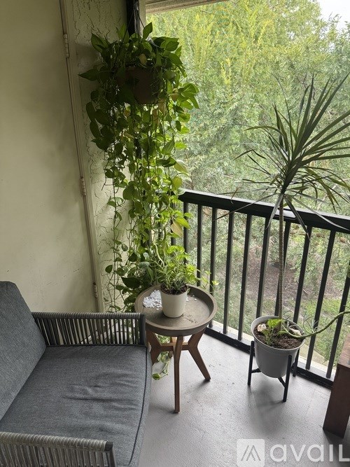 Source URL: https://prod-avail.s3.amazonaws.com/public_images/41504163/listing/IMG_3333.jpeg