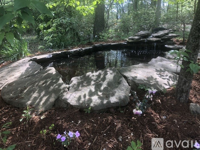 A small waterfall flows over a rock in a forest.