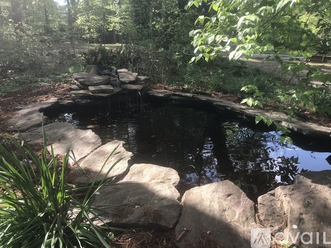 A small pond surrounded by rocks and greenery.