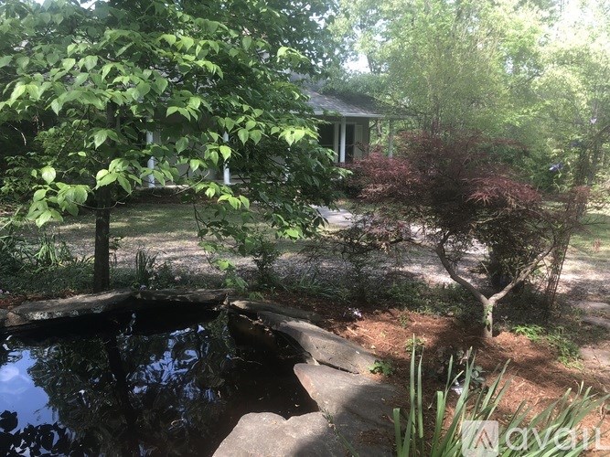A garden with a pond and a house in the background.