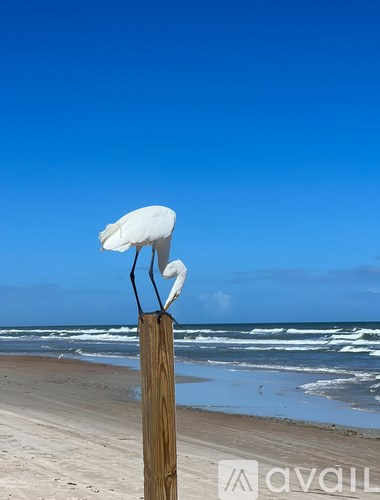 Source URL: https://prod-avail.s3.amazonaws.com/public_images/41501791/listing/IMG_7917.jpeg