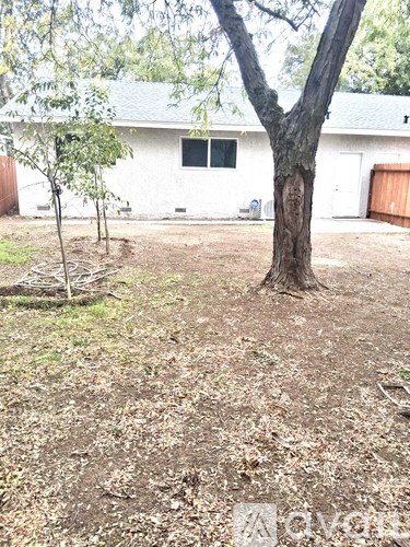 A yard with a tree and a house in the background.