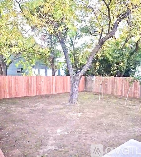 A backyard with a tree and a wooden fence.