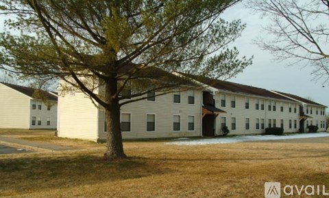 A tree stands in front of a white building with a sign that says "available" in the foreground.